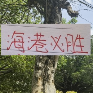 世界杯开幕式时间-前有奇塔 现有奥斯卡 海港旧将也喜欢度假途径母队