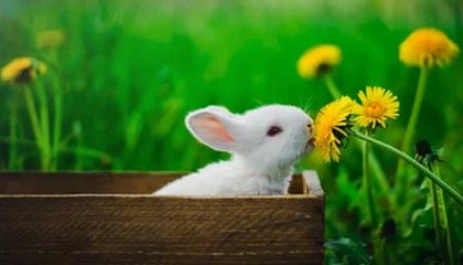 世界杯主办国家-中国女足从亚洲杯“开门红”传递出的三点信息